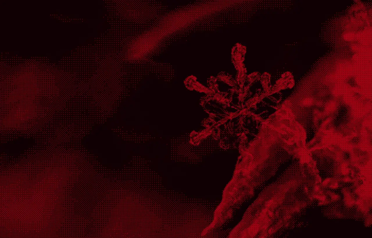 Snowflake ETL Tools: How 52,771 Companies Load Data (2026)