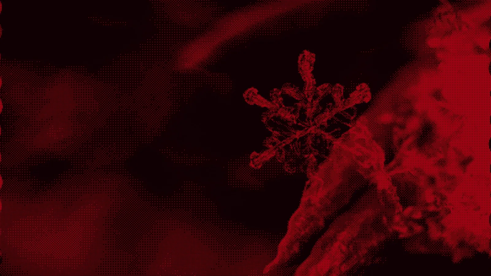 Snowflake ETL Tools: How 52,771 Companies Load Data (2026)