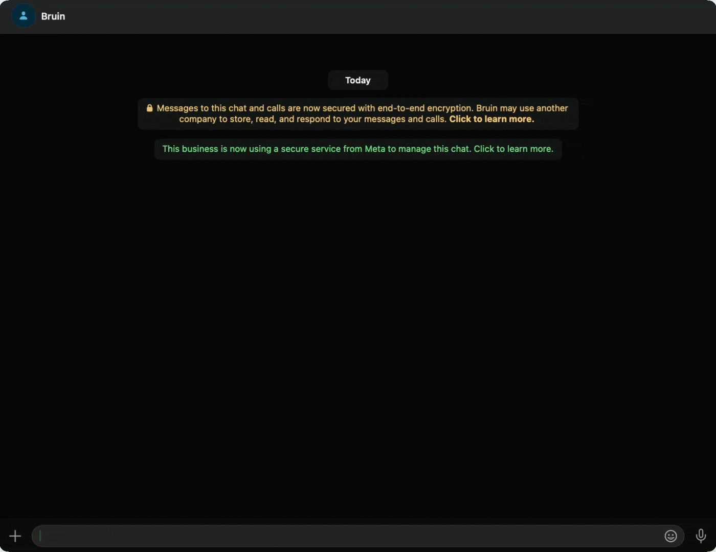 Bruin AI Data Analyst on WhatsApp live chat preview